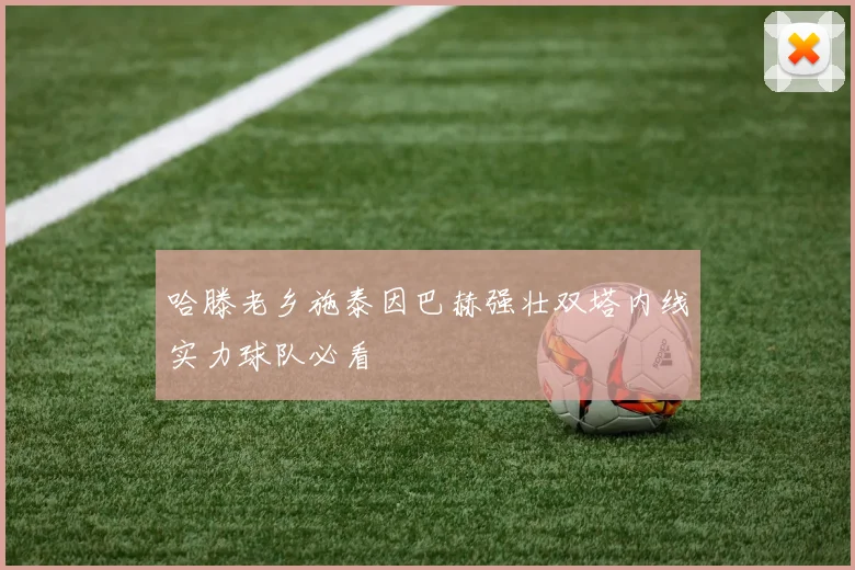 哈滕老乡施泰因巴赫强壮双塔内线实力球队必看