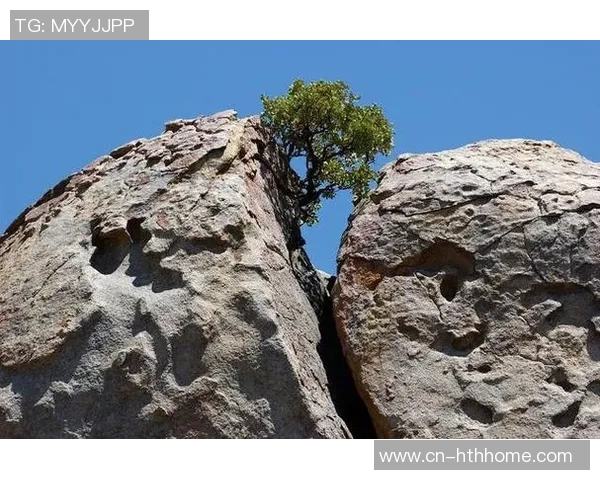 弗拉格谈伤情恢复与比赛坚持的决心努力追求成功的信念 弗拉格谈伤情恢复与比赛坚持的决心努力追求成功的信念